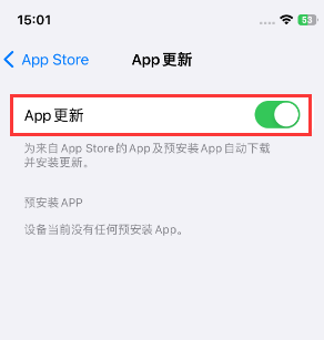 察布查尔苹果15维修中心如何让iPhone15APP自动更新